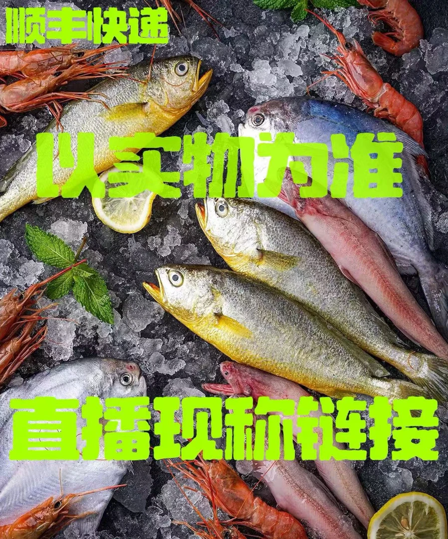 大连旅顺野生新鲜虾1/1060