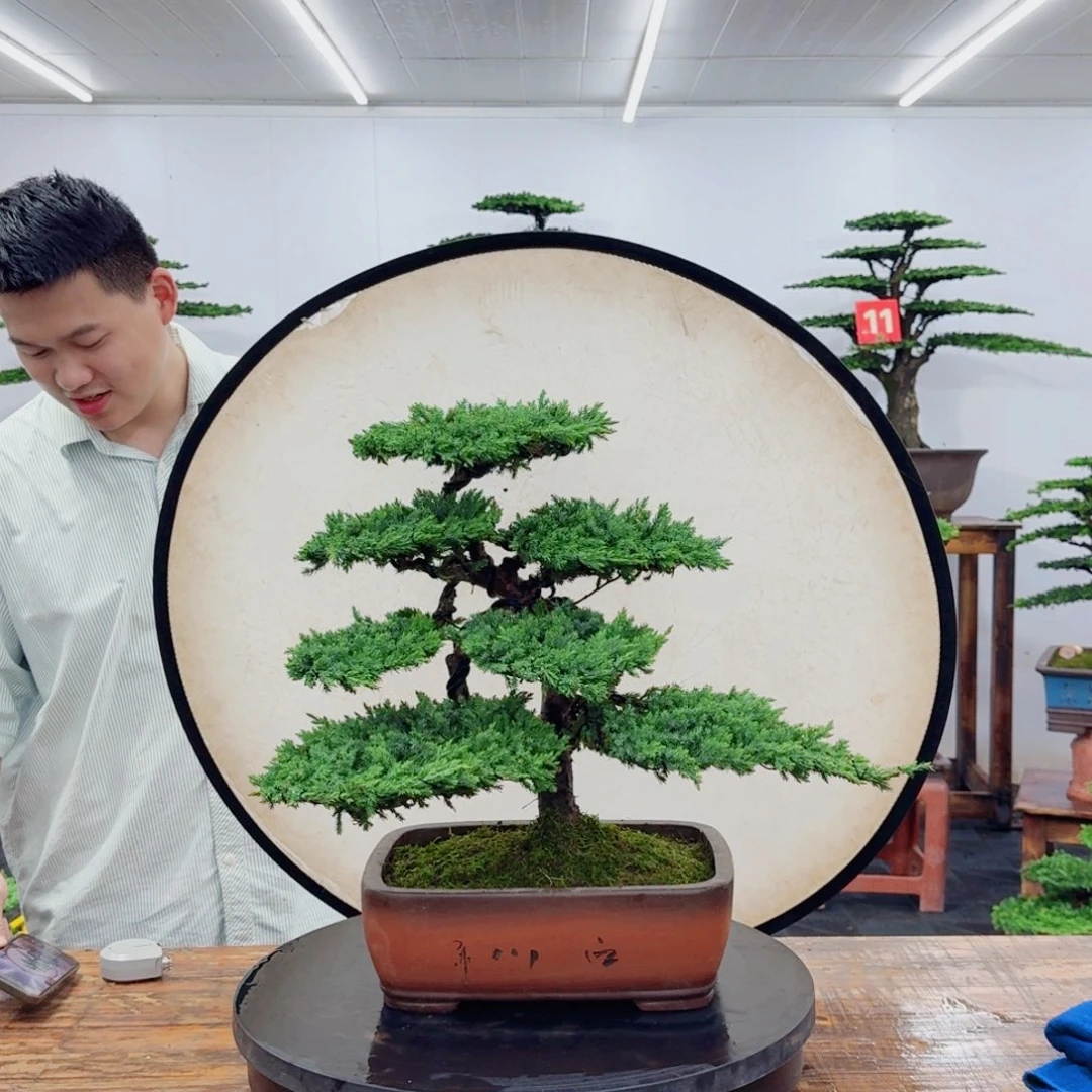 无花朵8888888888888