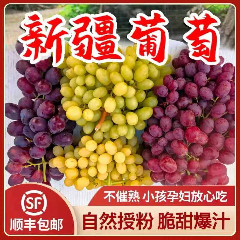 【顺丰空运】新疆三色葡萄，木纳格，红无核，红提，一次吃到三种