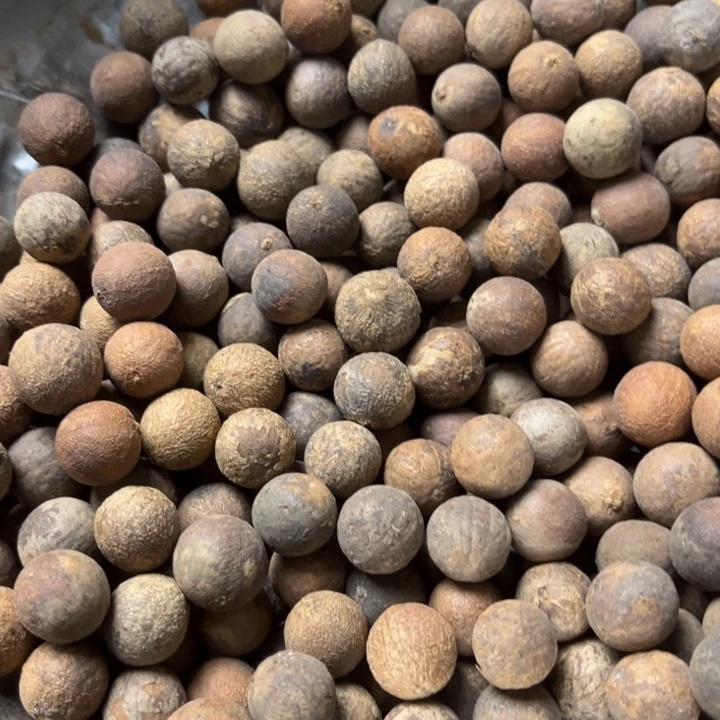 吊坠千眼菩提1.7 的菩提根半斤。