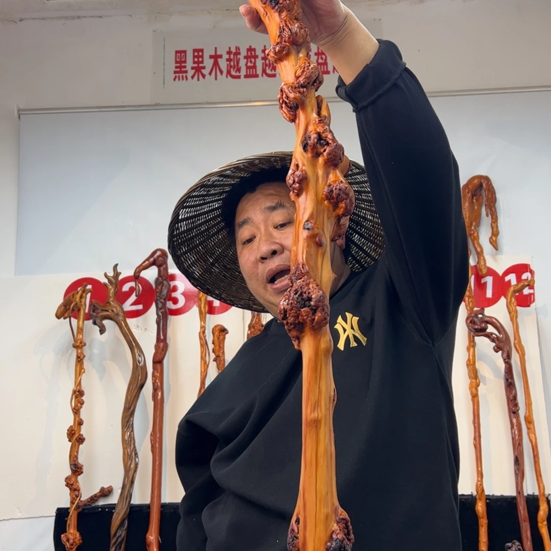 紫***）其他黑果木黑果木503