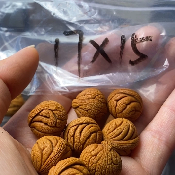 手串文玩核桃秦岭野生龙纹桃核17