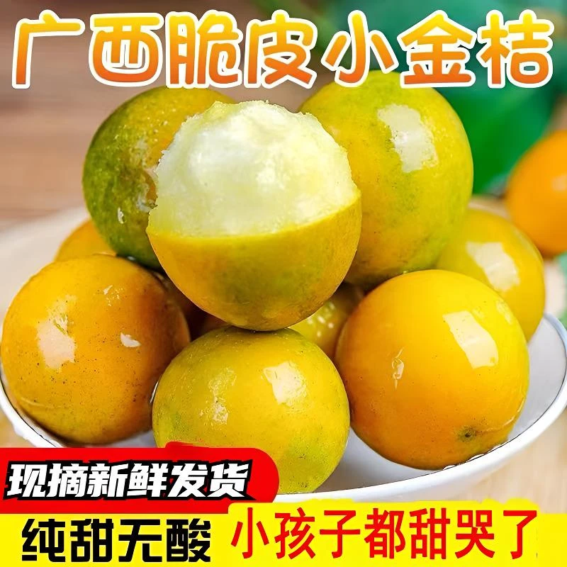 【现摘现发】广西二代脆蜜金桔新鲜水果桔子当季冰糖脆皮金桔多汁