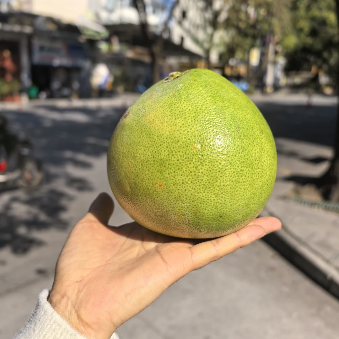 《整果》青柚1个约750g