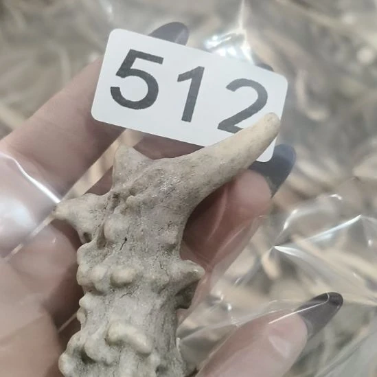 *****鹿角鹿角鹿角鹿角鹿角鹿角