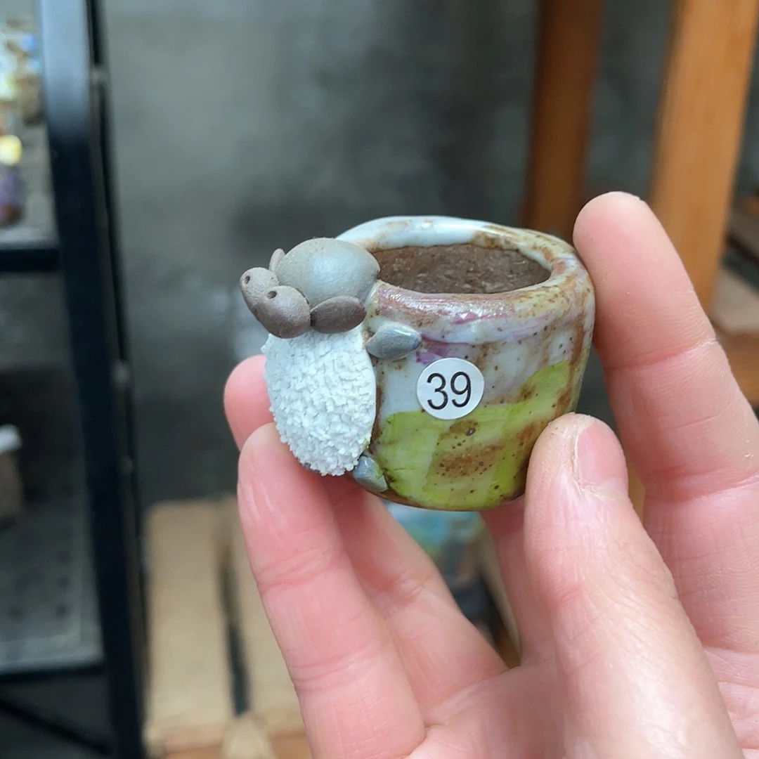 红陶内口3外高3厘米