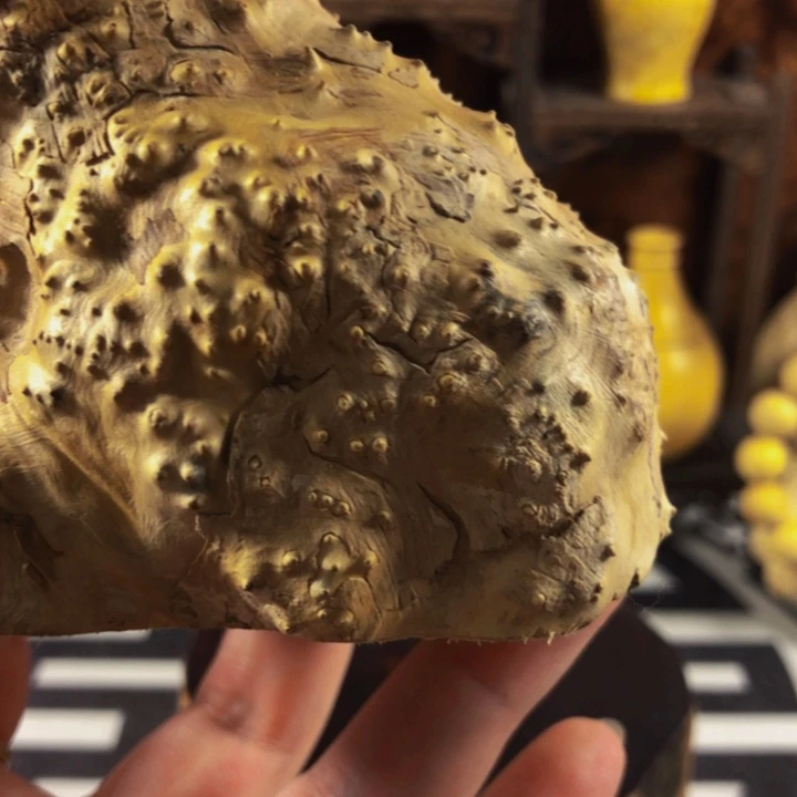 木幸**随木料木料木料木料