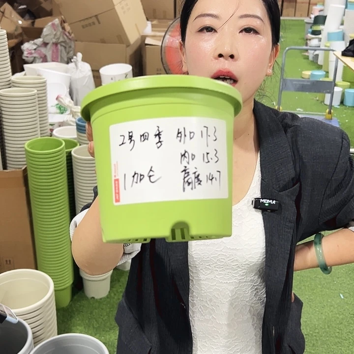 特价2号四季口17高15白色10只无托