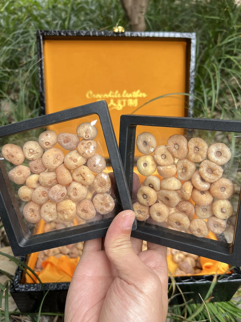 天宝丹小火苗专属