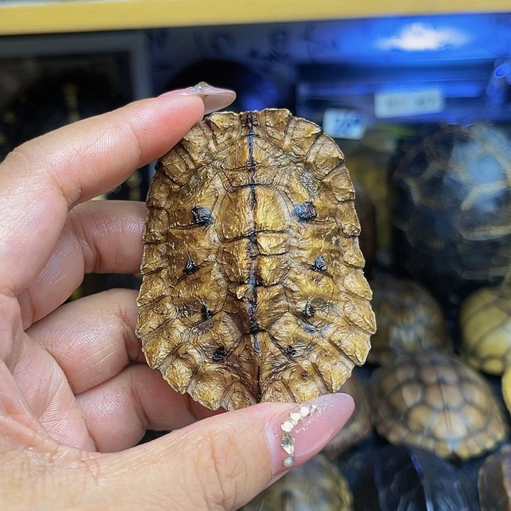 【闪购商品】有机玻璃极**寒