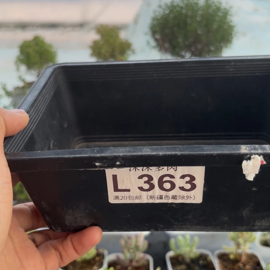 363盲拍组合福利哦哦