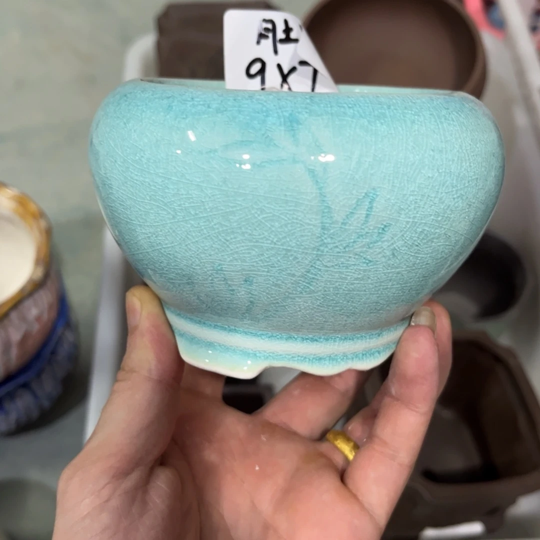 桂**枝［满9米包邮］本品默认微瑕