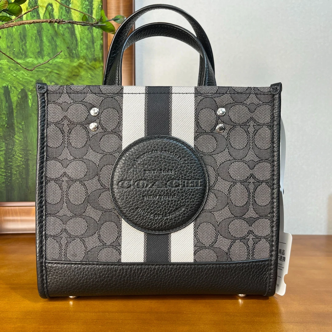 95新 COACH/蔻驰 单肩包/22*11*20/A610