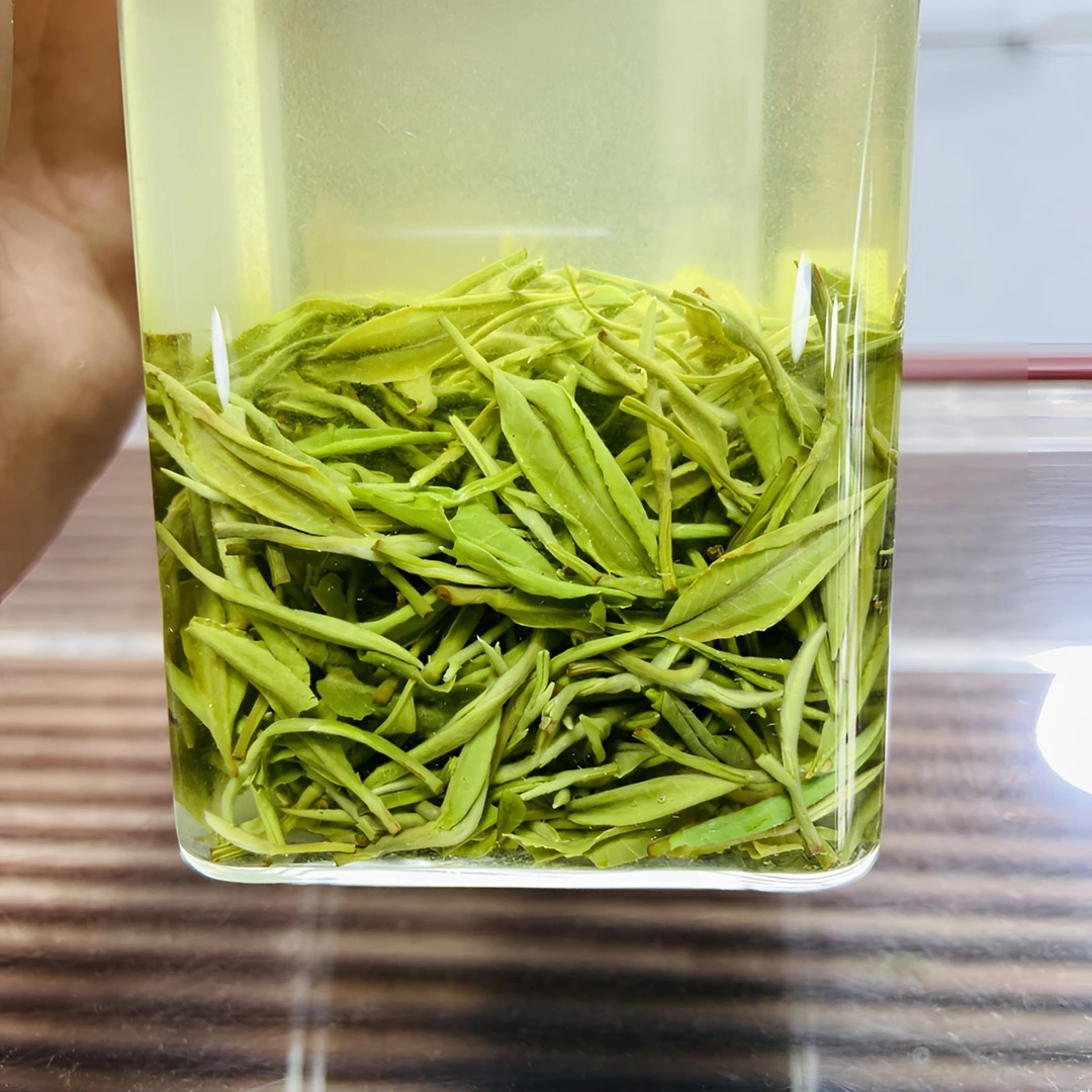 2025信阳高山毛尖  1 春茶芽叶 好喝耐泡 滋味醇厚口粮茶