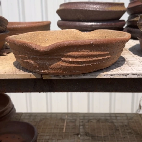 红陶悟1234567812///