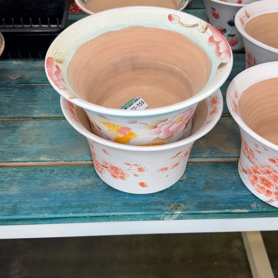 景**至多肉一物一拍0122-155