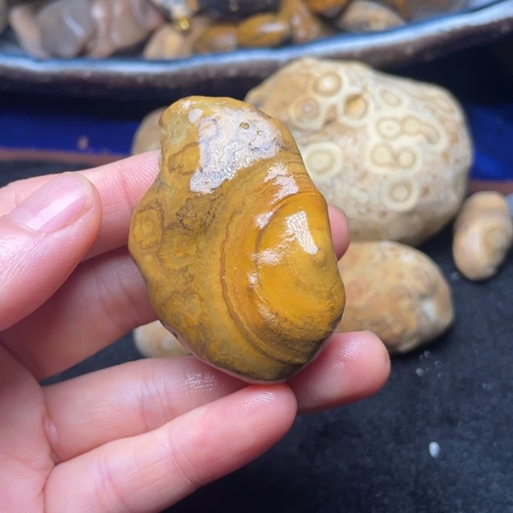 石材九眼页岩奇石16