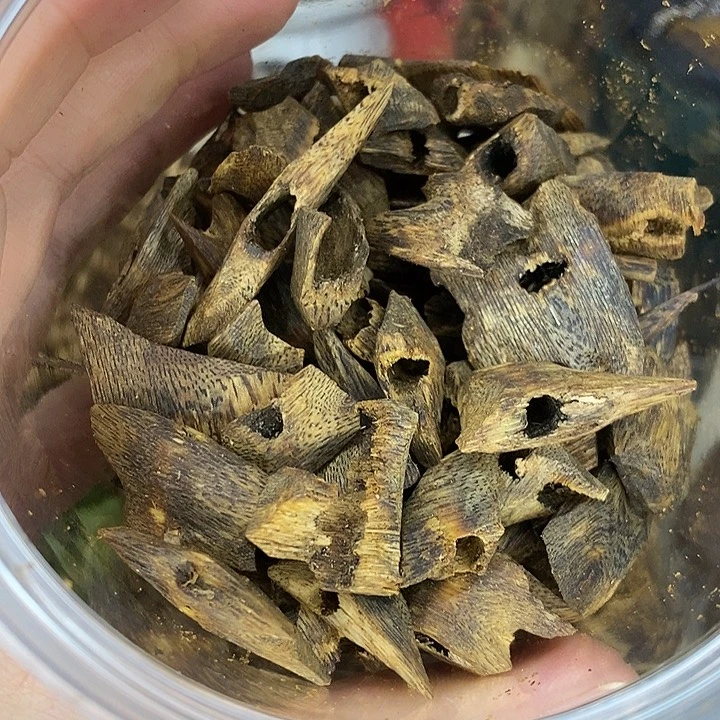 楠木千里香块料68克
