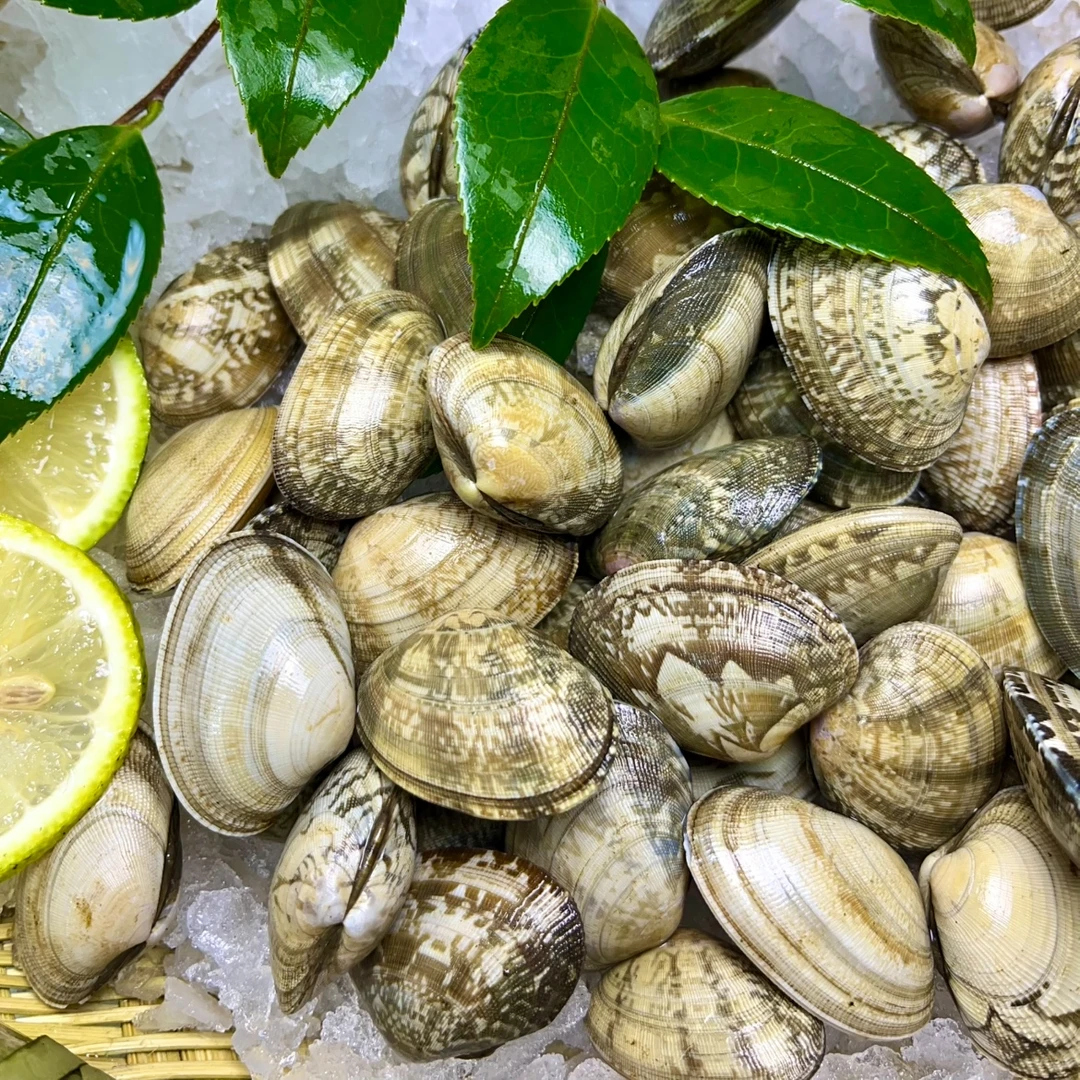 鲜活大无沙花甲（散称500g/份）
