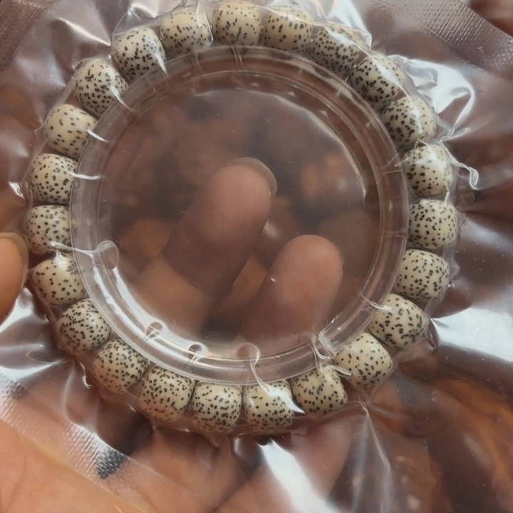 橄榄核把件星月菩提手串