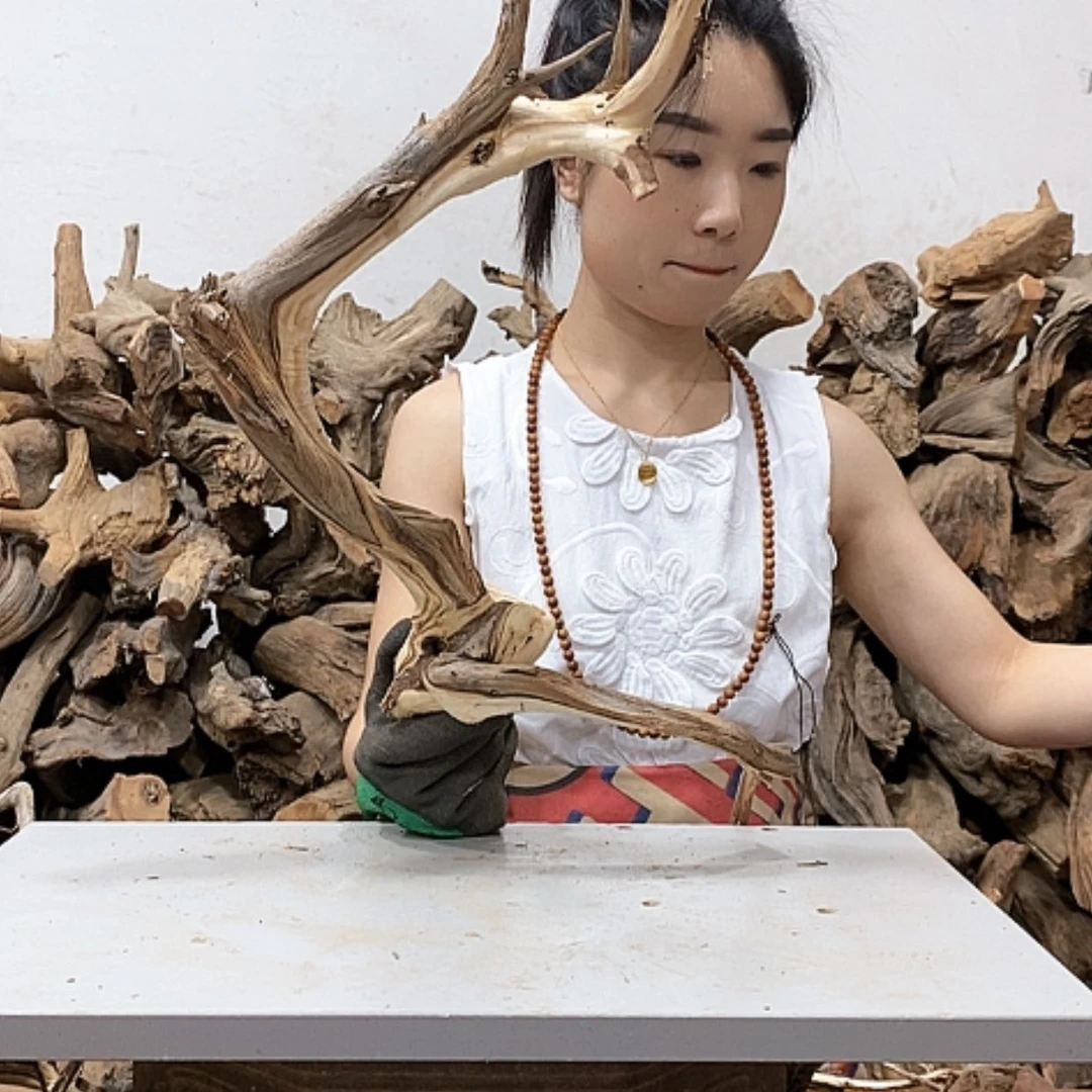 【闪购商品】柏木珍***艺我们都是好孩子