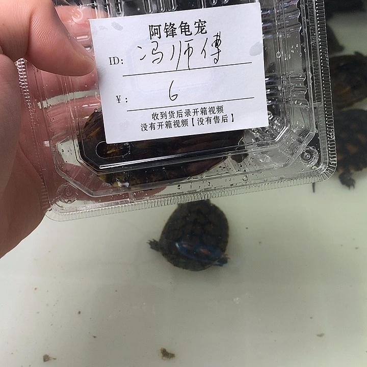 哈哈哈哈哈哈哈哈哈哈哈