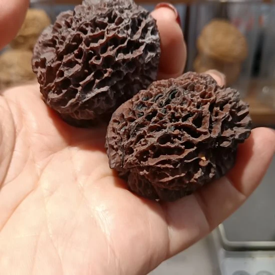 文玩核桃把件6666666666