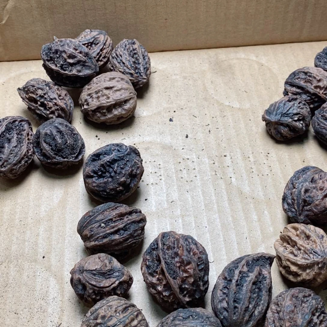 文玩核桃吊坠核桃73