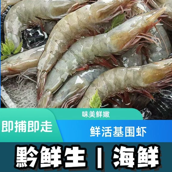 【基围虾特大虾】（南美对虾）500g鲜活
