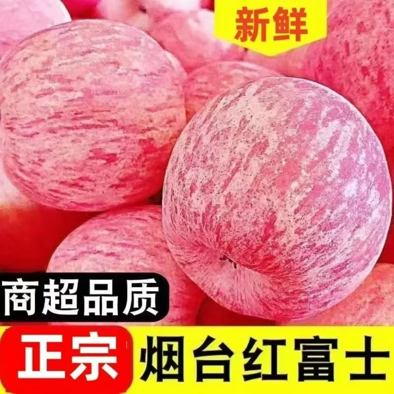 【买五斤送五斤】正宗烟台红富士苹果新鲜脆甜多汁产地直发应季水果