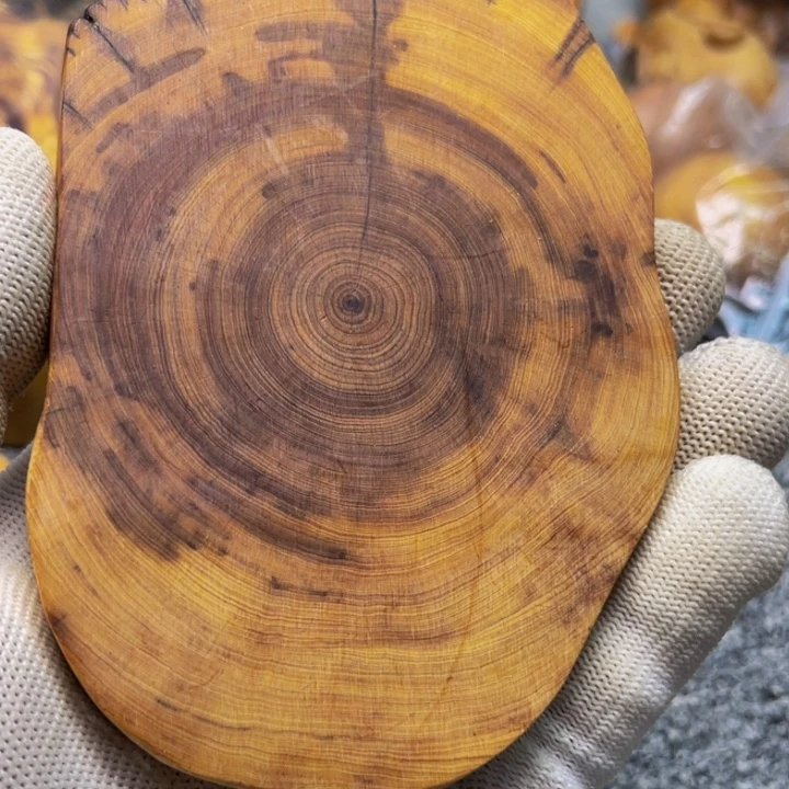 柏木（崖柏）崖柏37