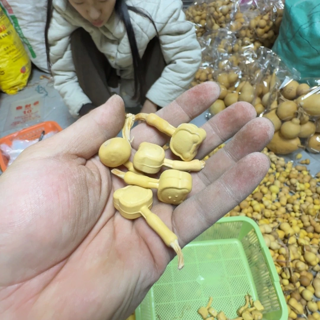 周***了葫芦111111111111