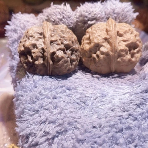 把件文玩核桃玉龙金蟾阴阳对43