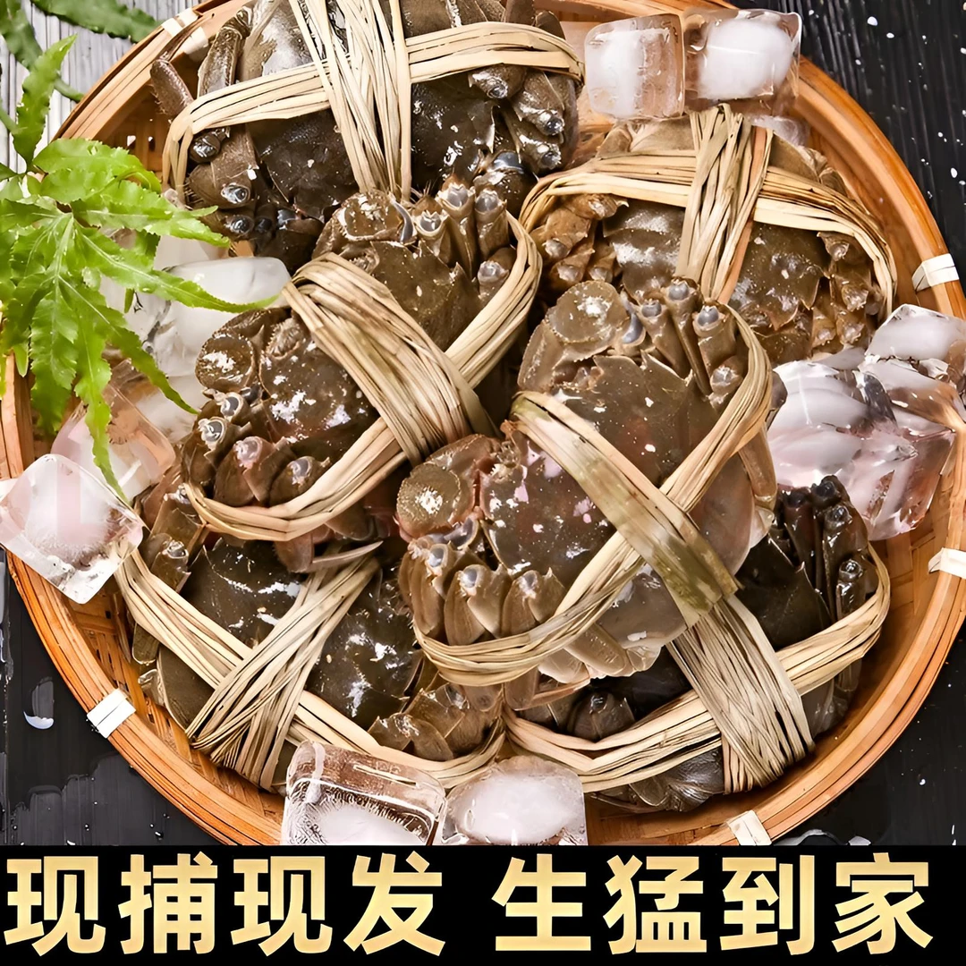 [江苏精品活蟹]2两母蟹共8只礼盒装