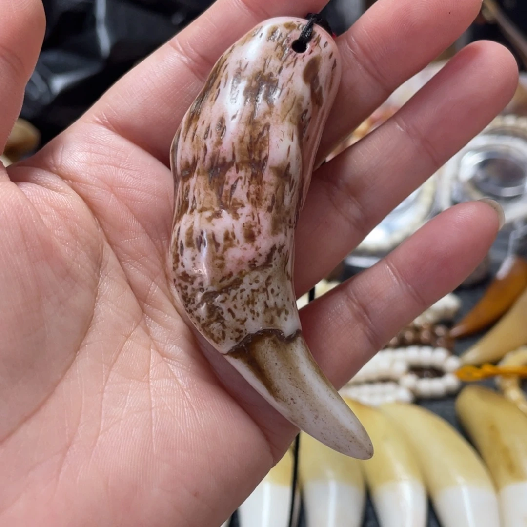 驼骨把件8➕老牙牙