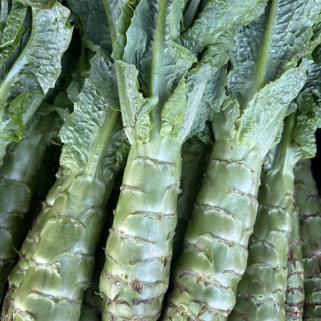 米粒甄选精选 莴笋