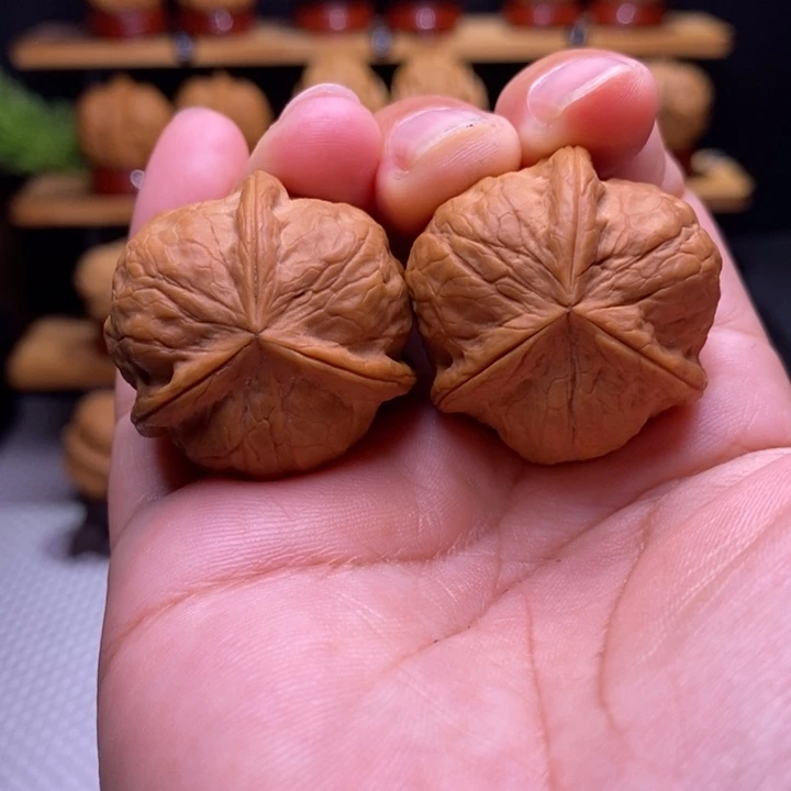 核桃云铁甲壳虫三棱11号