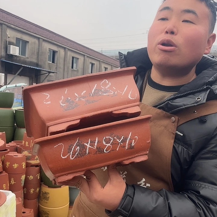 紫砂紫砂花盆盆栽