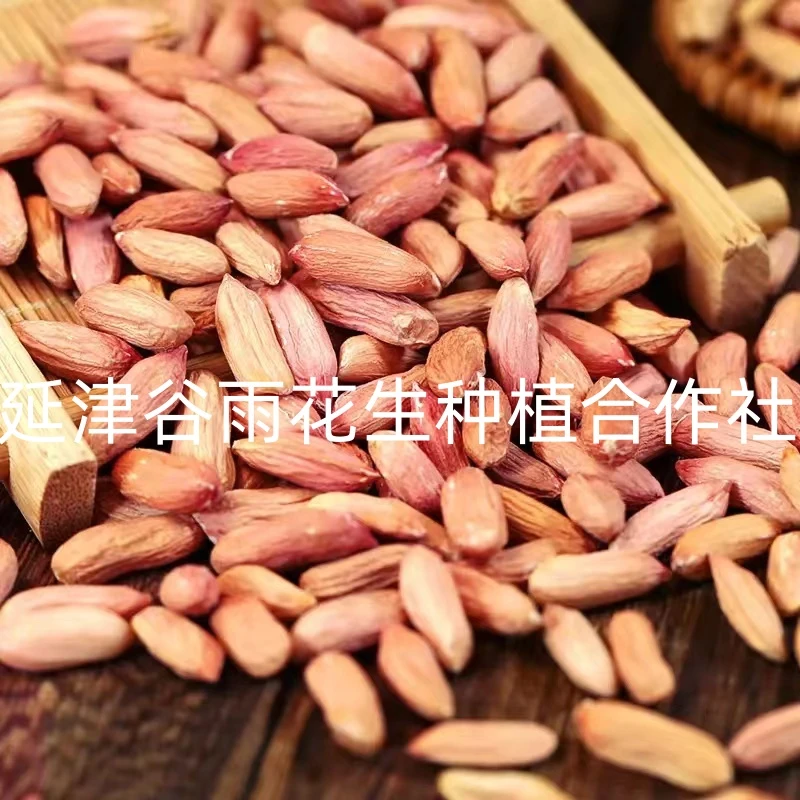 山东新鲜瘪花生小粒生吃甘甜呵护胃宝宝低油低脂农家自种手工挑选