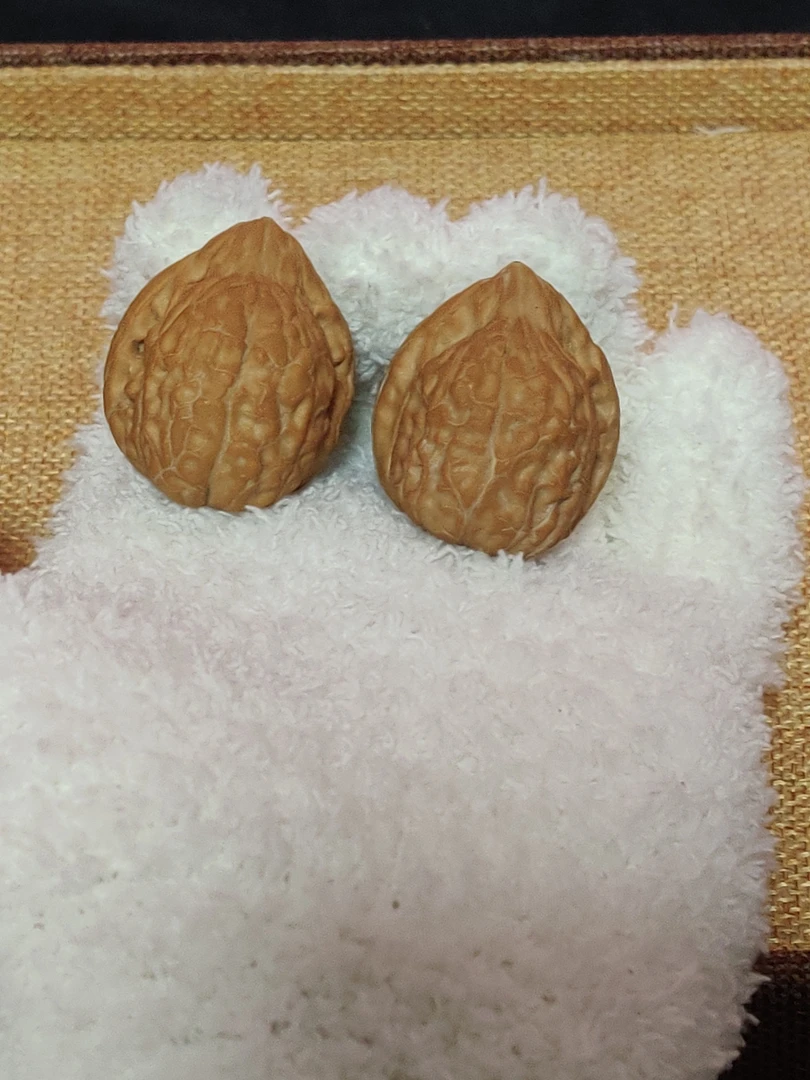 全品无修红皮龟甲纹