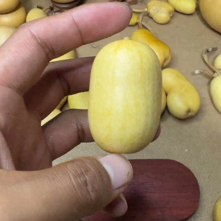 无***…葫芦111111111111111