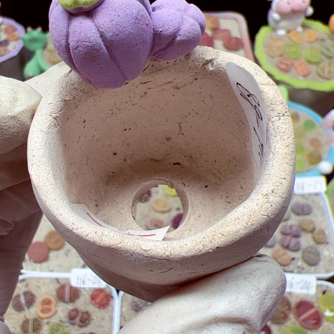 茉*?116优秀的肉肉68