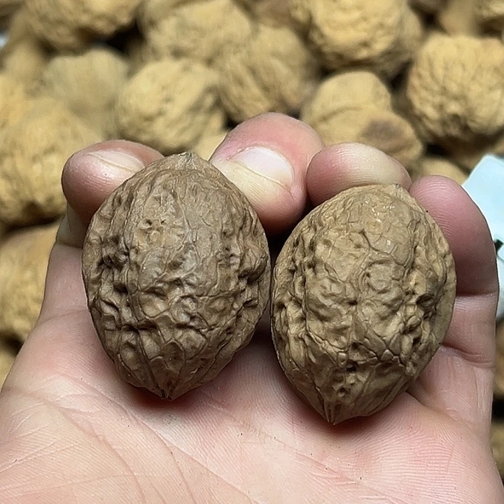 把件文玩核桃23号飞蟾34尺
