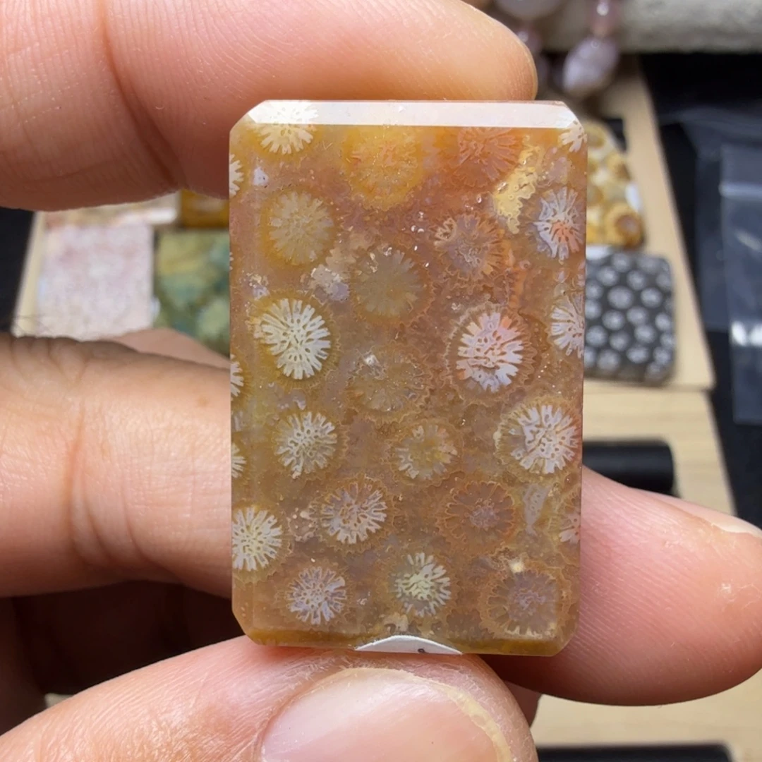 硅化玉未镶嵌天然有机玉石保真色