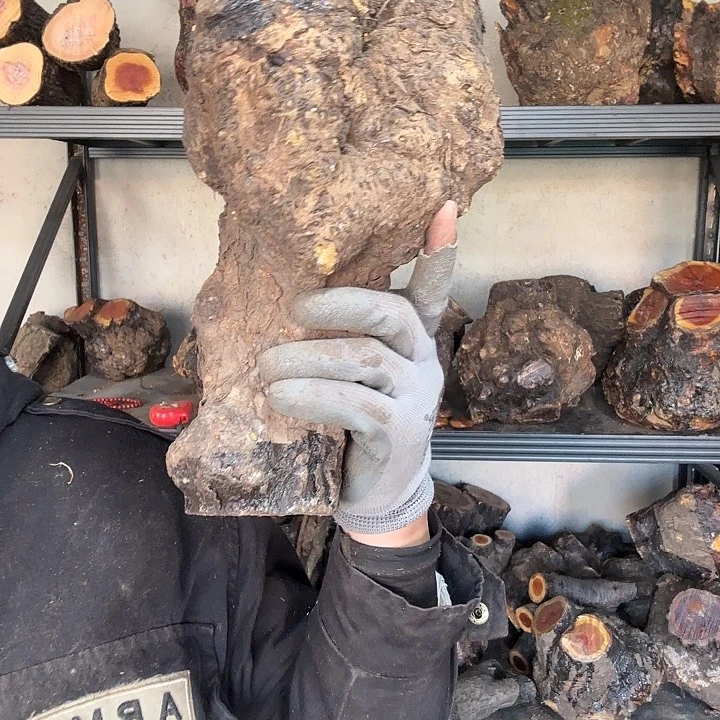 别***我香榧木火琉璃的故事是一个