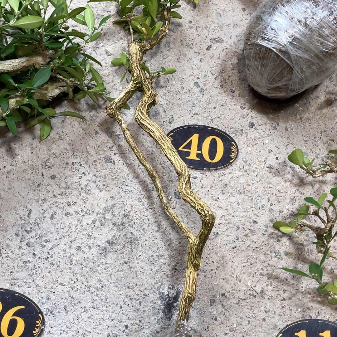 拾***️完全开放一起为梦想而加油啊我们