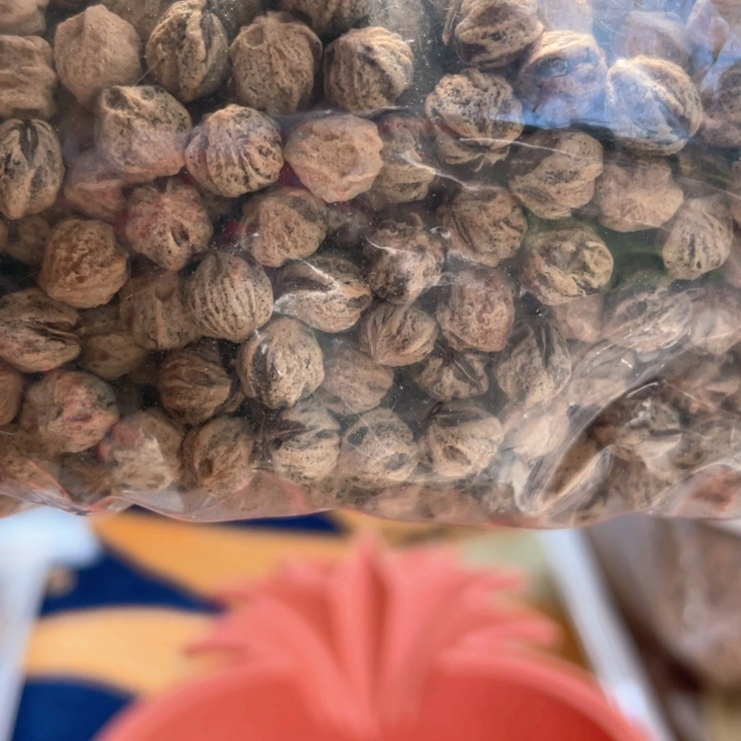 柏香籽/百香籽吊坠没***子