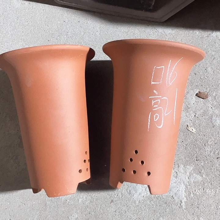 红陶紫砂紫砂x s x