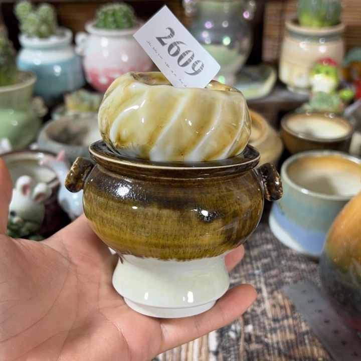 活动价满30包邮    活动价满30包邮