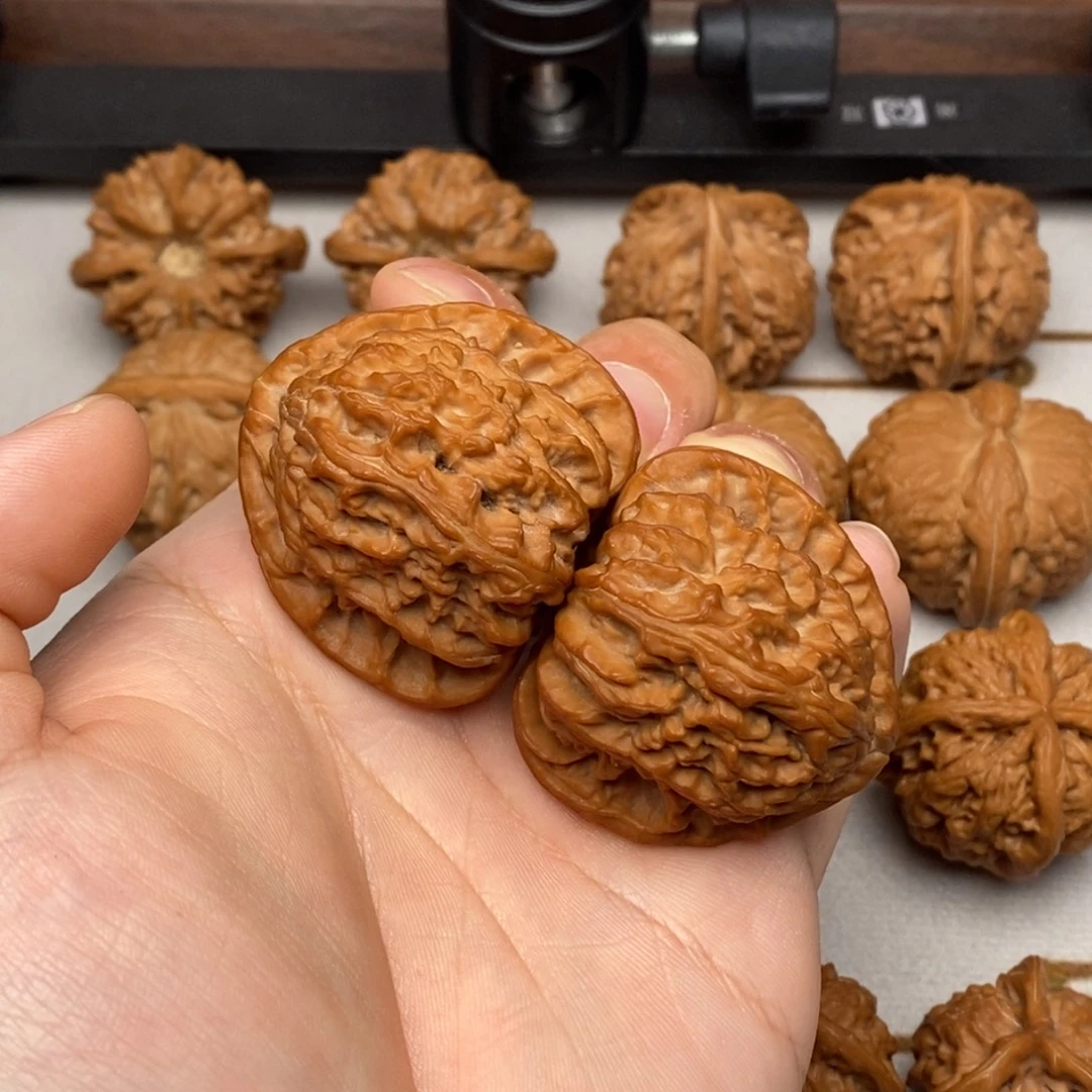 斯***类核桃货头顶级三角白